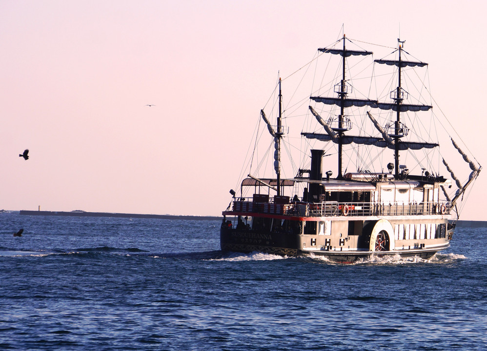 カモメと海賊船