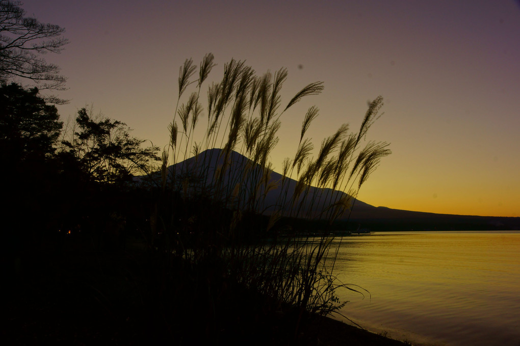 ススキと富士の夕暮れ