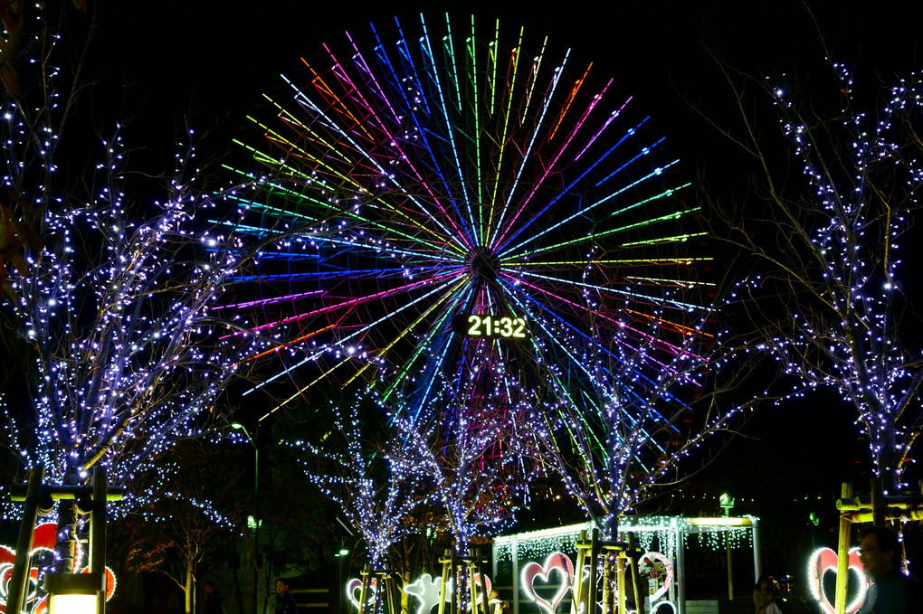 🎡観覧車とイルミネーション