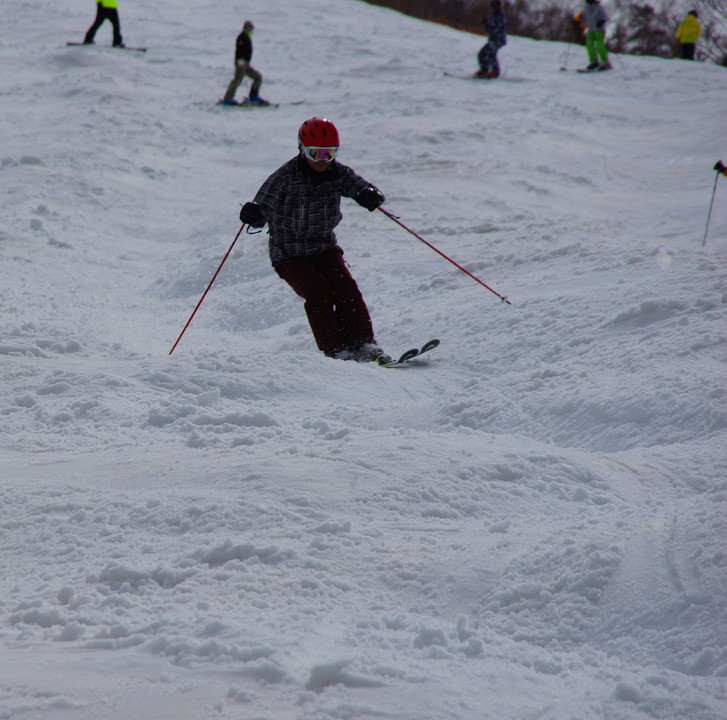 Skier　２