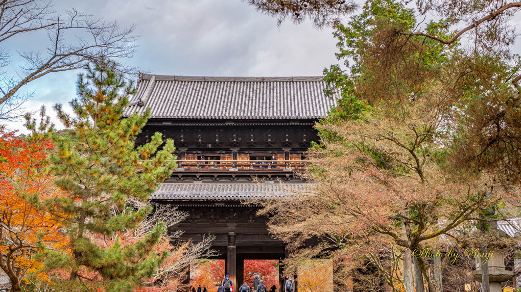 秋の終焉を迎えた南禅寺♪