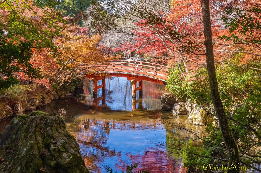 続 京都+奈良旅行 醍醐寺 ♫