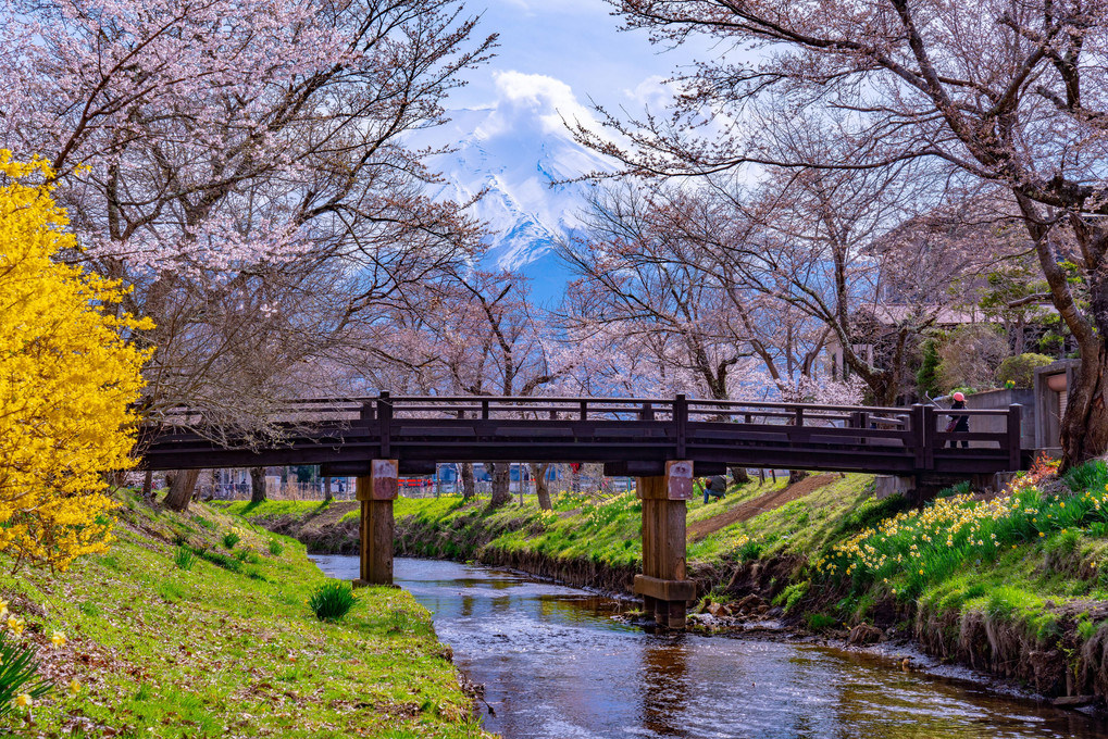 富士山遠足🎵