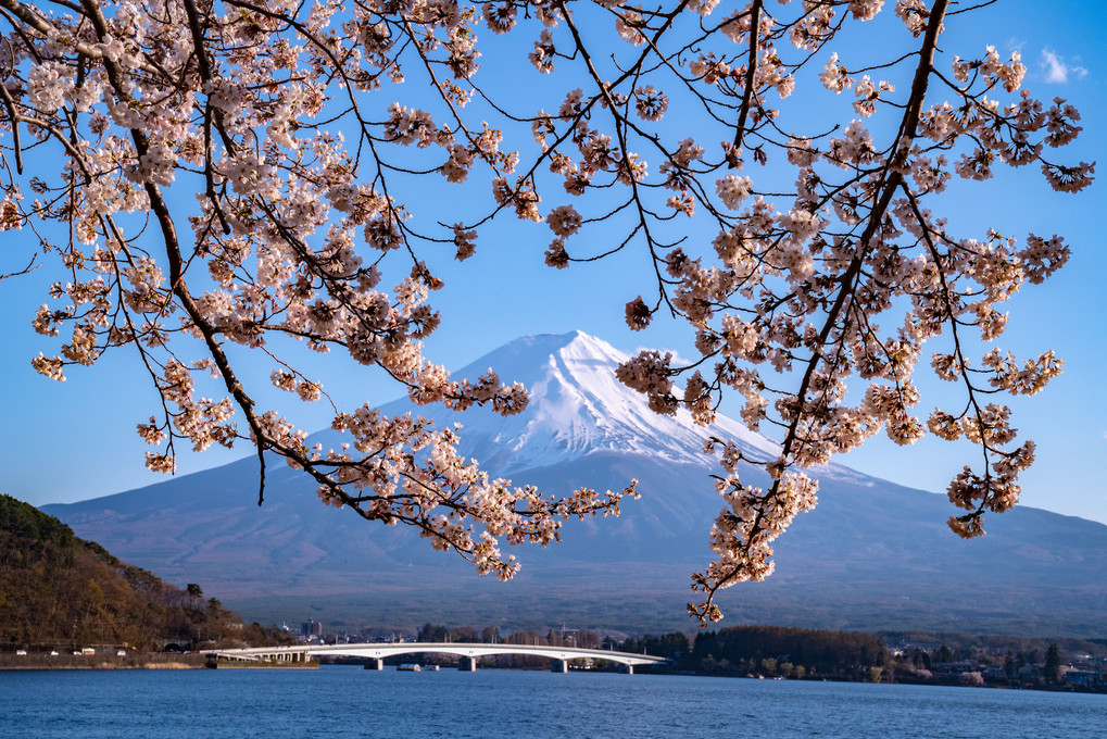 富士山遠足🎵