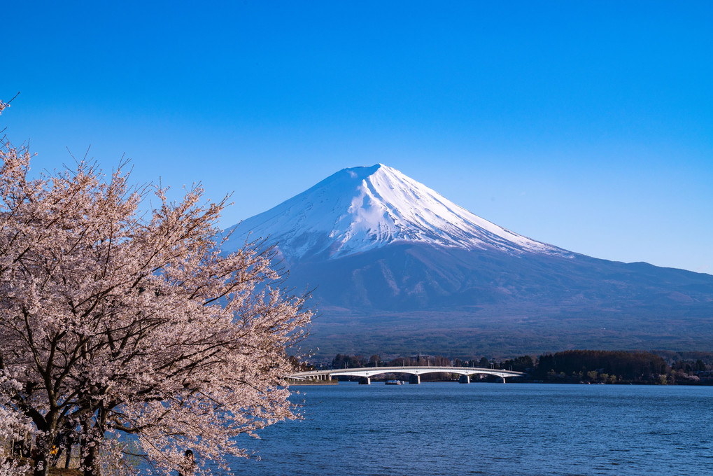 富士山遠足🎵