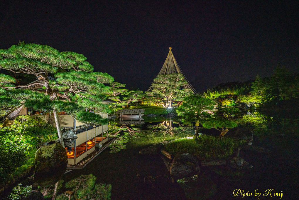 日本庭園のライトアップ♪