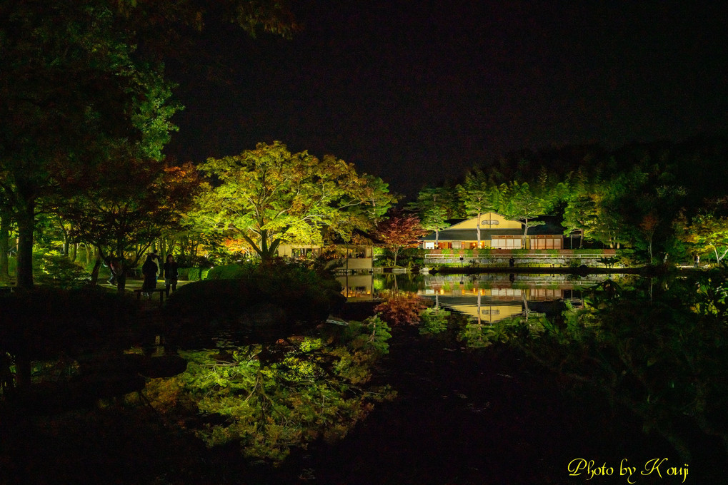 日本庭園のライトアップ♪