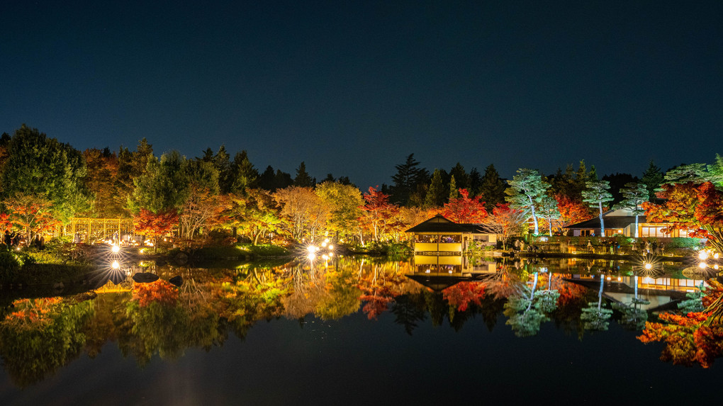 日本庭園のライトアップ ♬
