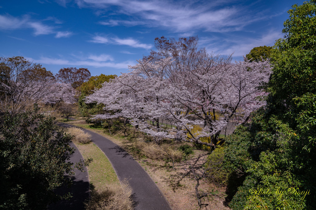 昭和記念公園♪