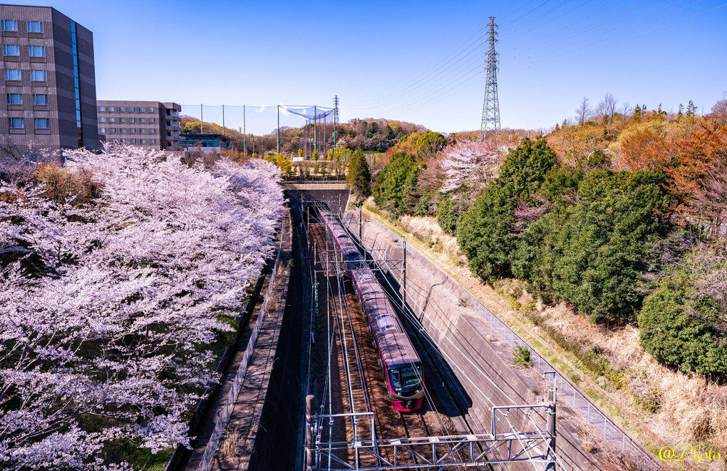 #京王電鉄#