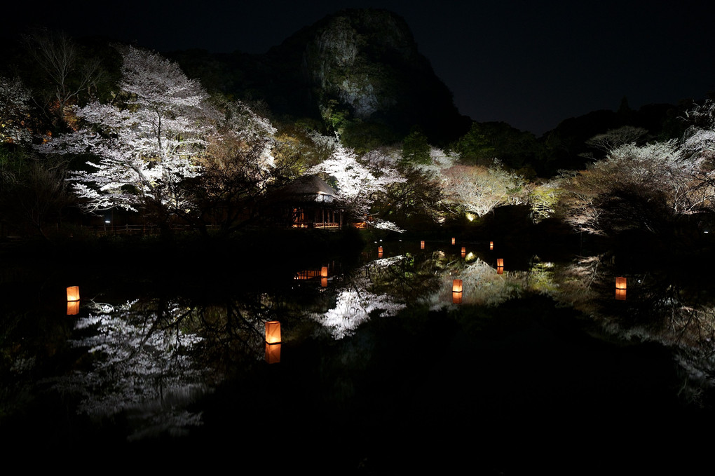 御船山の夜桜