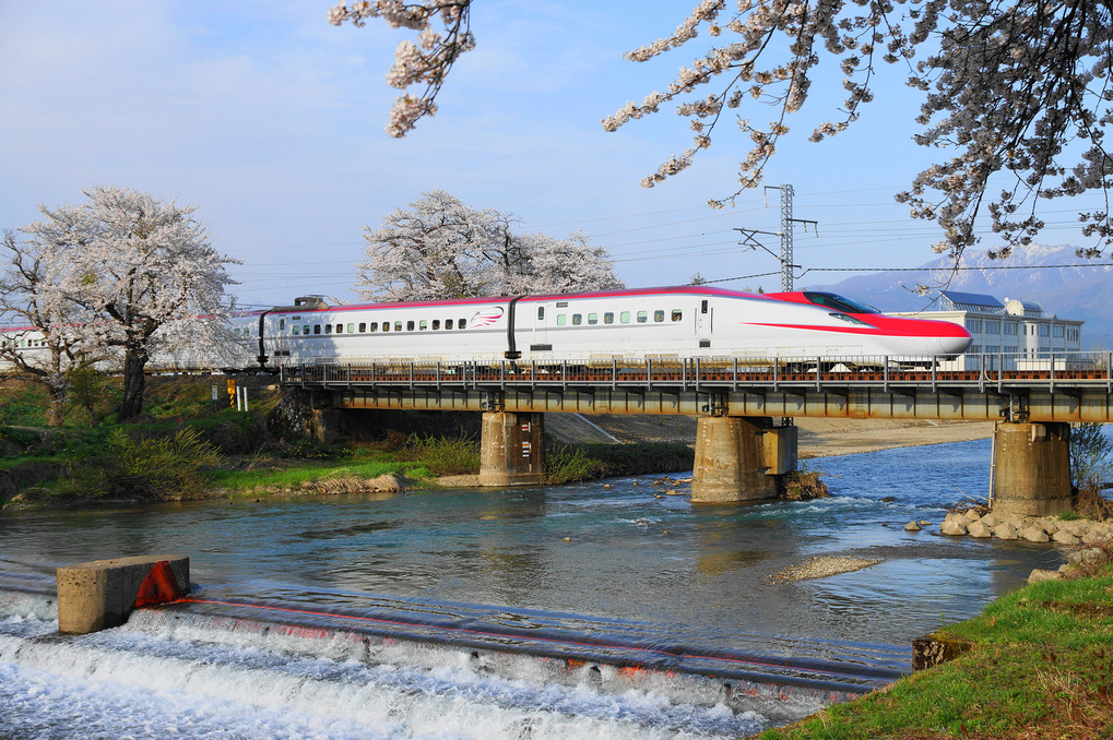 　道の駅なかせん　斉内川の桜　