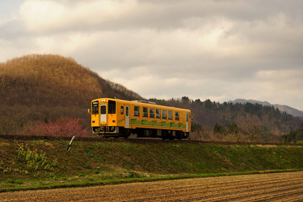 秋田内陸縦貫鉄道の春　