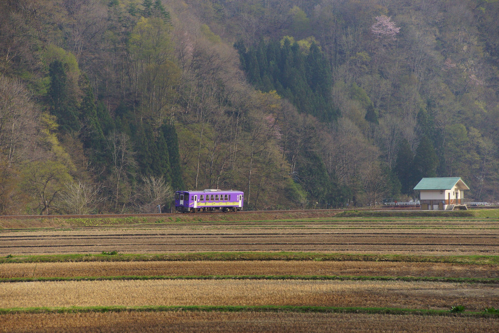 秋田内陸縦貫鉄道の春②