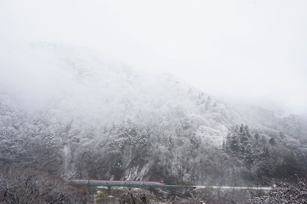 仙岩峠の冬