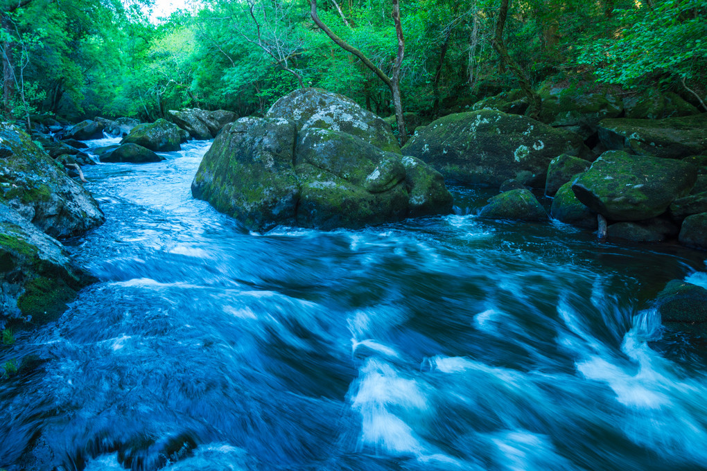 Spring stream