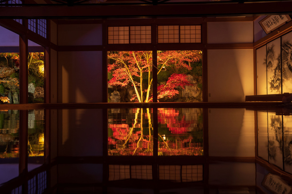 宝徳寺の秋 -Nightlight-