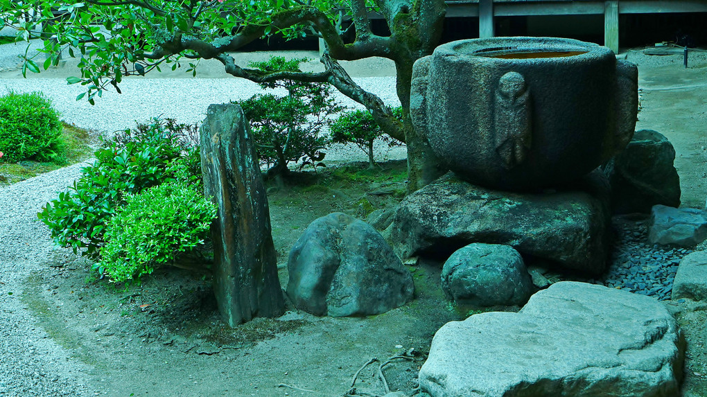 新緑の京都　曼殊院門跡