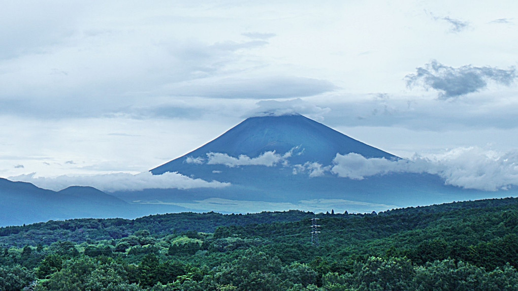 三島スカイウォーク