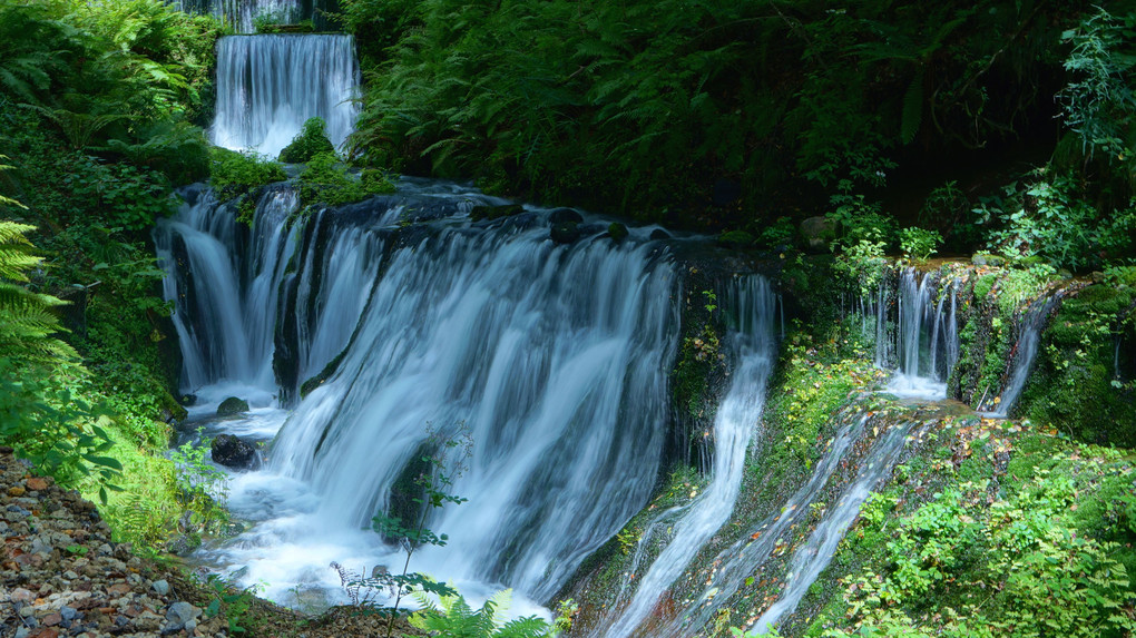 清涼な白糸の滝