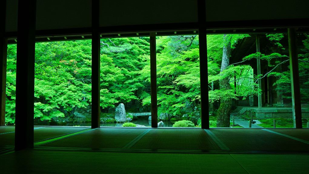 新緑の京都　蓮華寺
