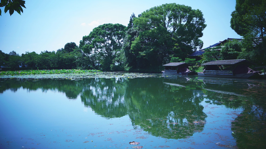 京都大覚寺　大沢の池