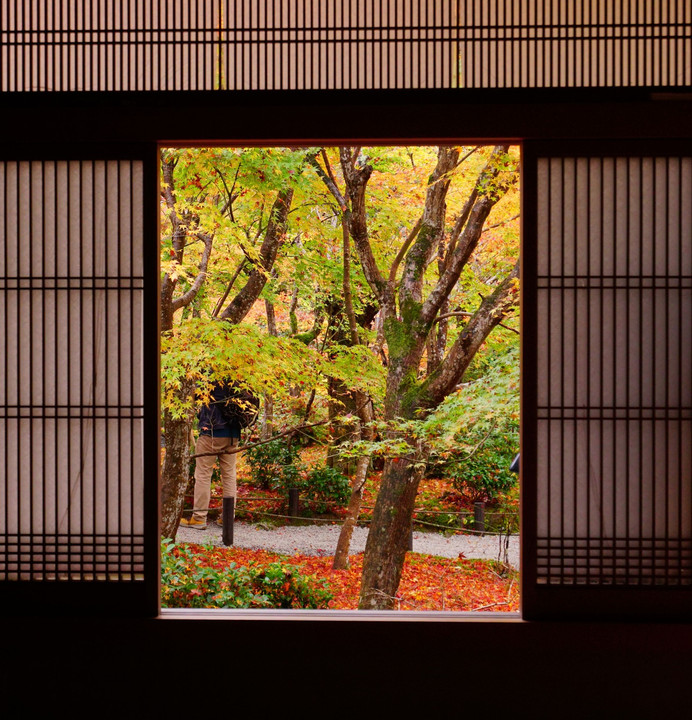 京都の紅葉　Ⅳ