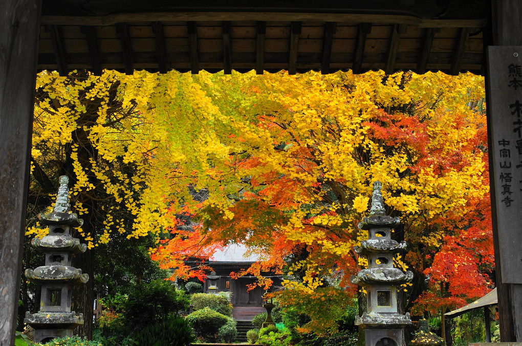 山寺と神社の紅葉