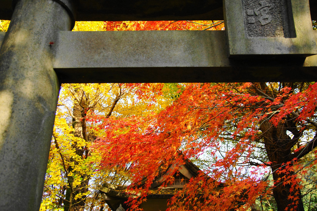 山寺と神社の紅葉