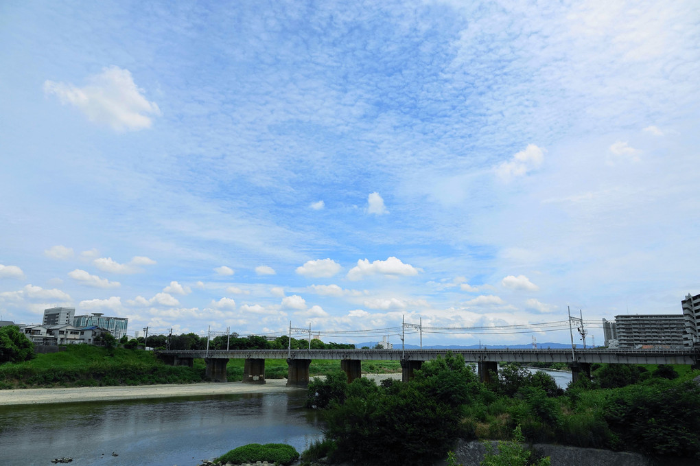 梅雨の合間の浅香界隈