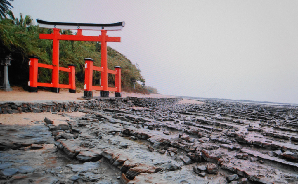 宮嵜　青島