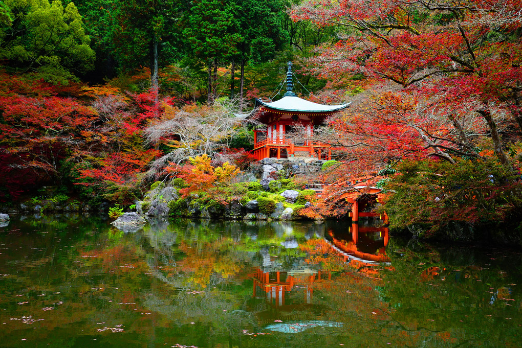 色づく京都