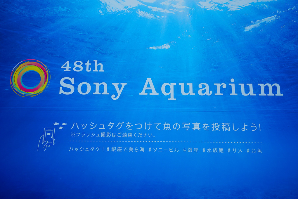 48th Sony Aquarium