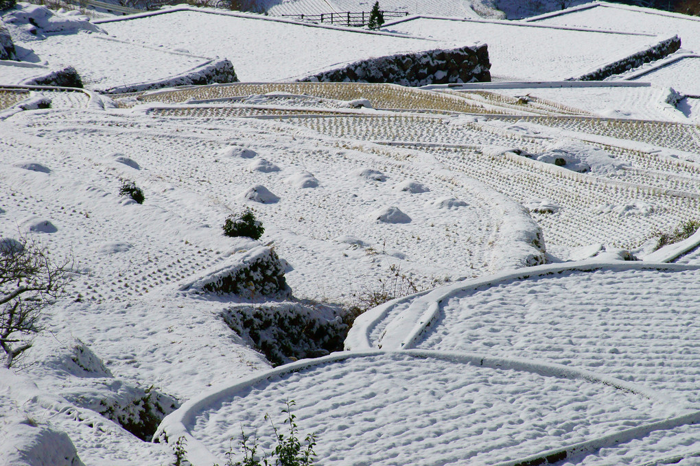 雪の棚田