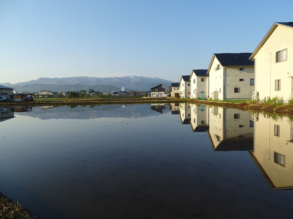 水田に映る風景