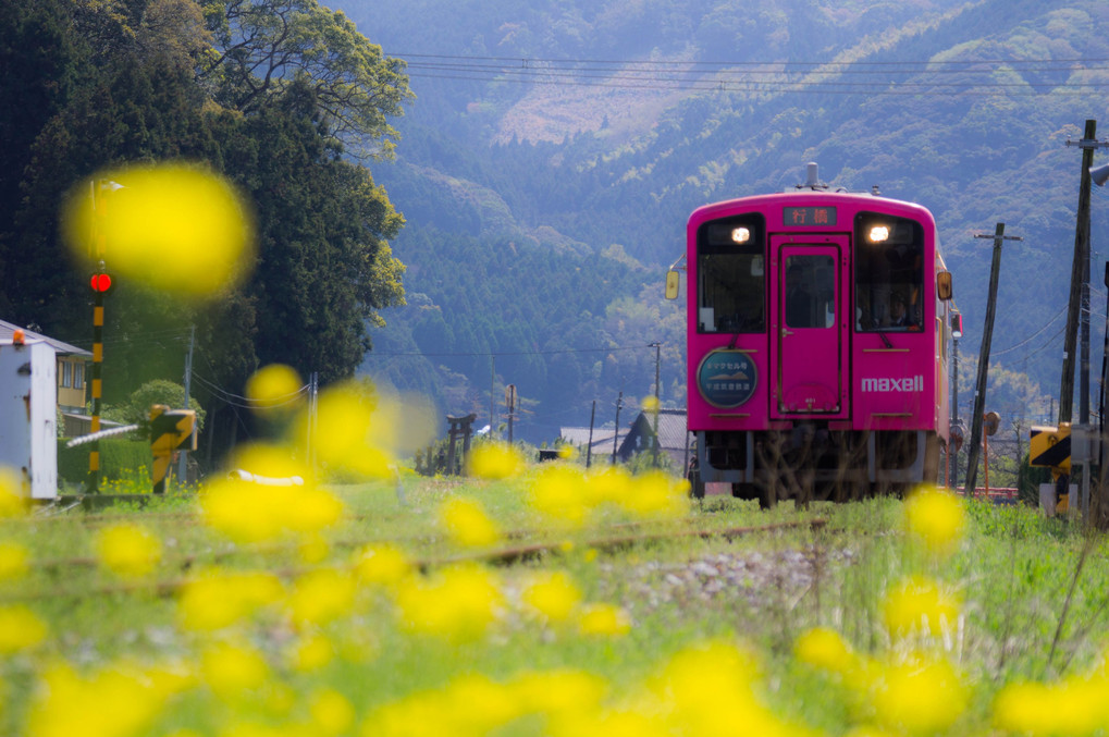 平成筑豊鉄道　マクセル号