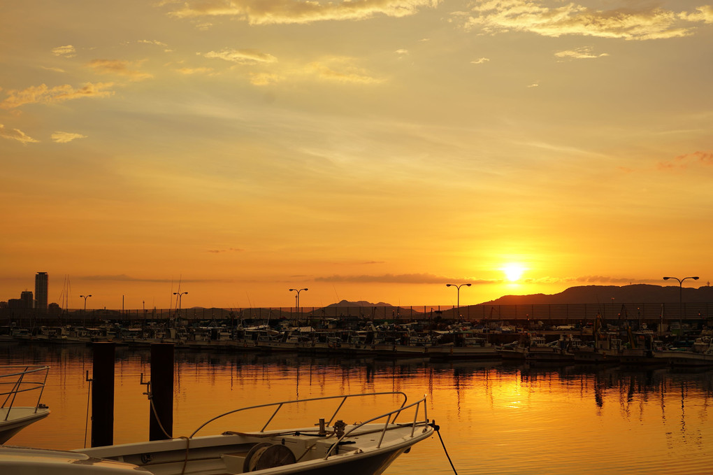 漁港の夕陽