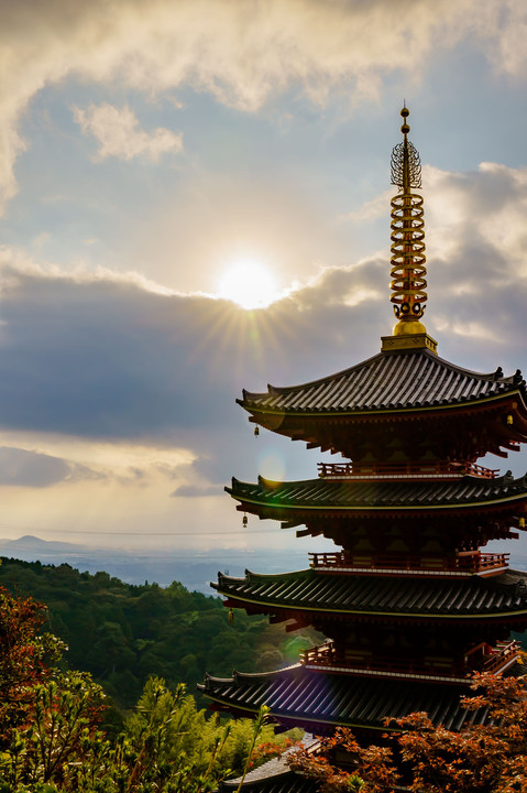 本福寺-五重の塔