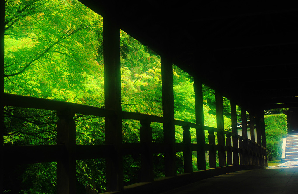 夏への架け橋