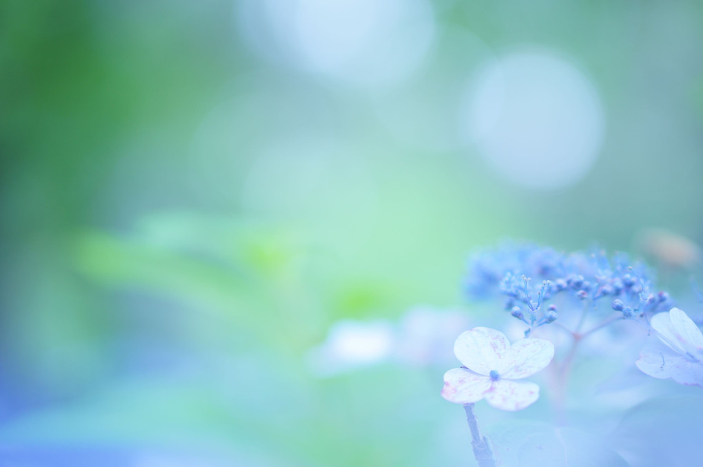 雨は友達