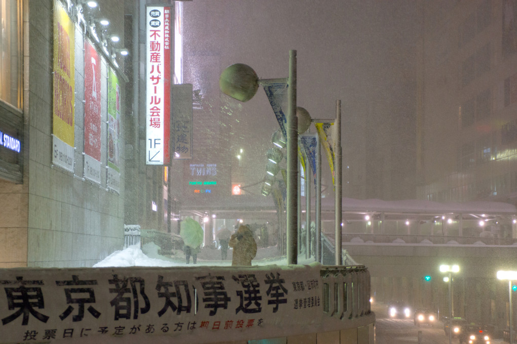 東京を襲う突然の大雪