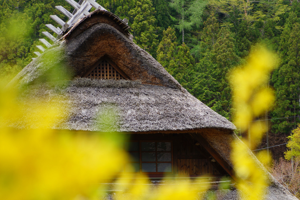 茅葺き屋根