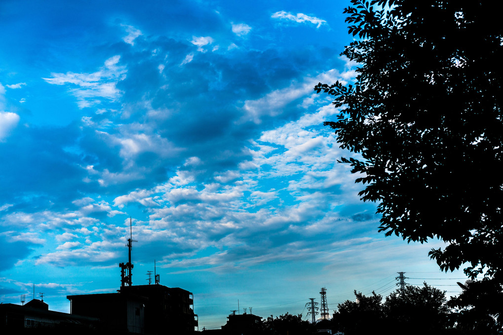夏の日の雲