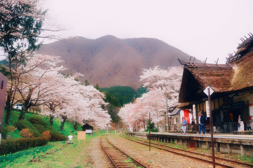 湯野上温泉駅の桜🌸