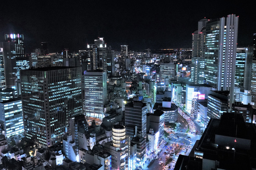 Osaka City Night