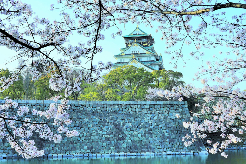 大阪城桜飾り