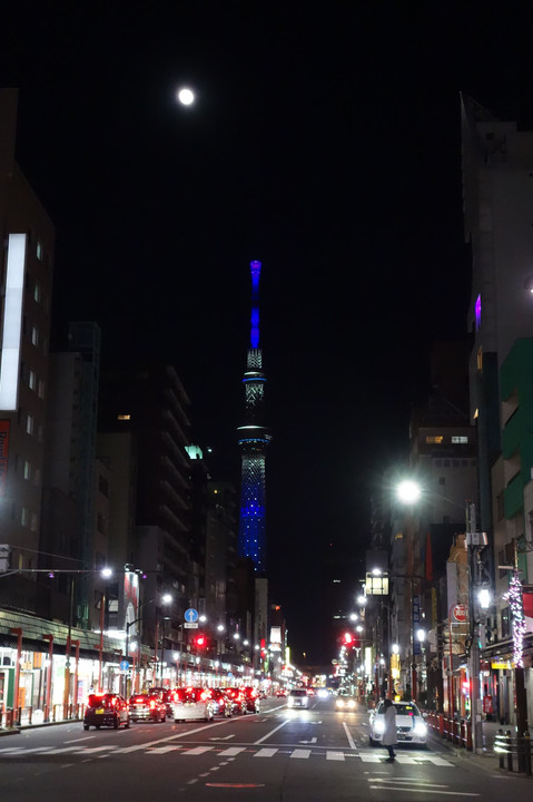 東京スカイツリーと月