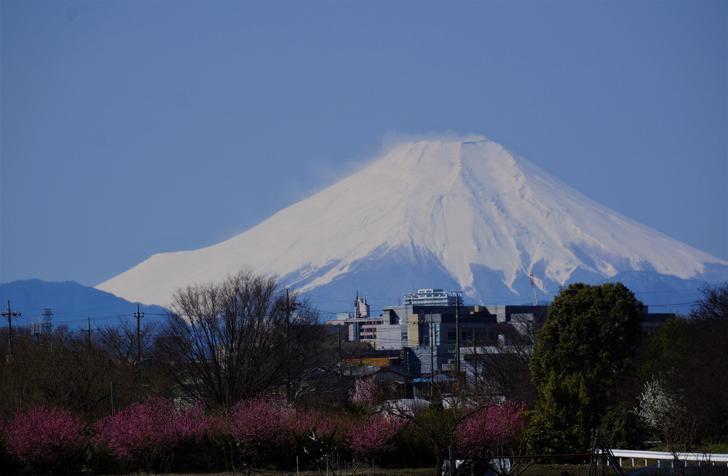 埼玉県からの富士山