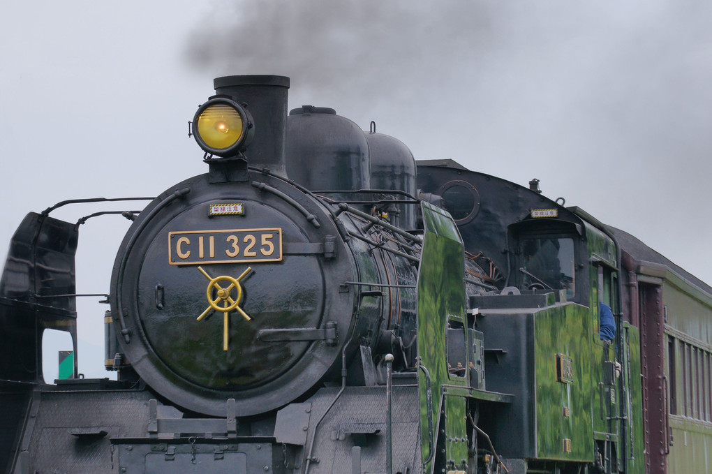蒸気機関車に緑が映り込んでる