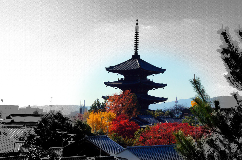 京の街を彩る、　紅葉これもまた、綺麗やなぁ～～